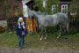 Ingrid volá Alenu zpět pro společnou fotku s koněm